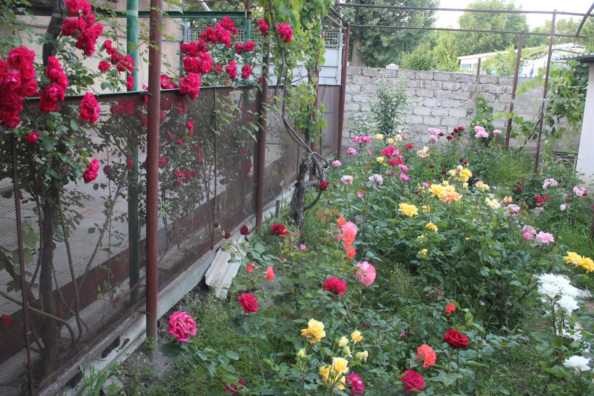 Guesthouse Levani Гори Экстерьер фото
